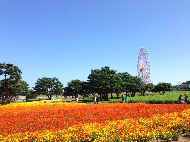 c0112264_06324.jpg