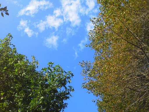 a0232573_13445666.jpg