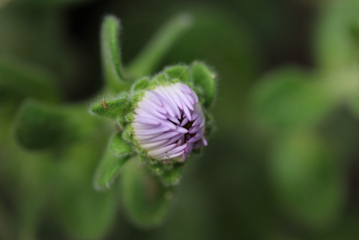 b0214473_16594460.jpg