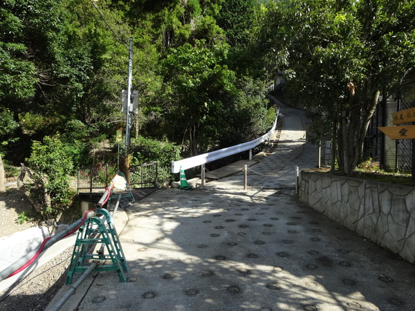 c0066176_05728.jpg