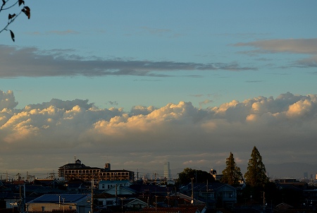 c0229483_20425512.jpg