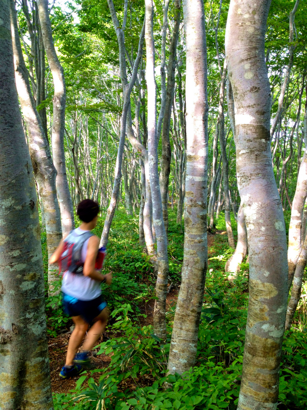 銀杏峰トレイルランニング_b0220886_1550769.jpg