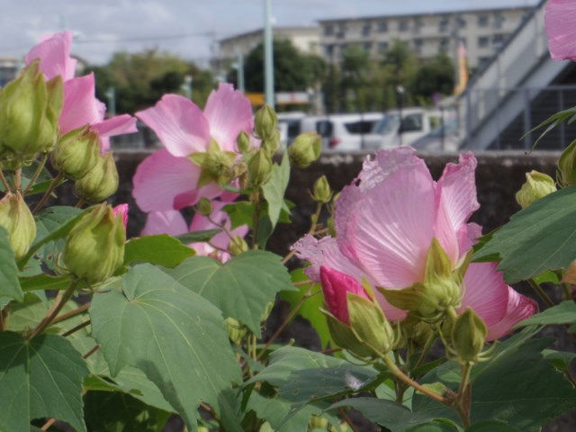 f0063887_236452.jpg