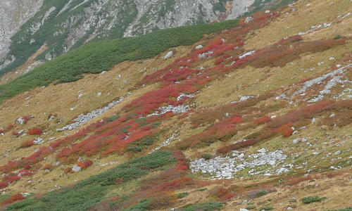 b0029488_08366.jpg