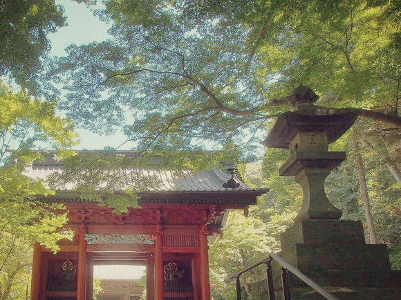 c0254488_1744832.jpg