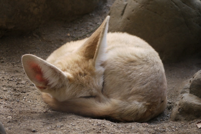a0127090_9351375.jpg