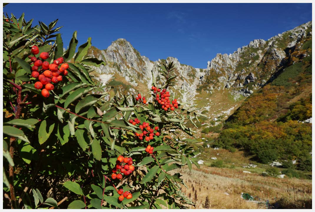 千畳敷カールの紅葉　その4_e0207391_18405634.jpg