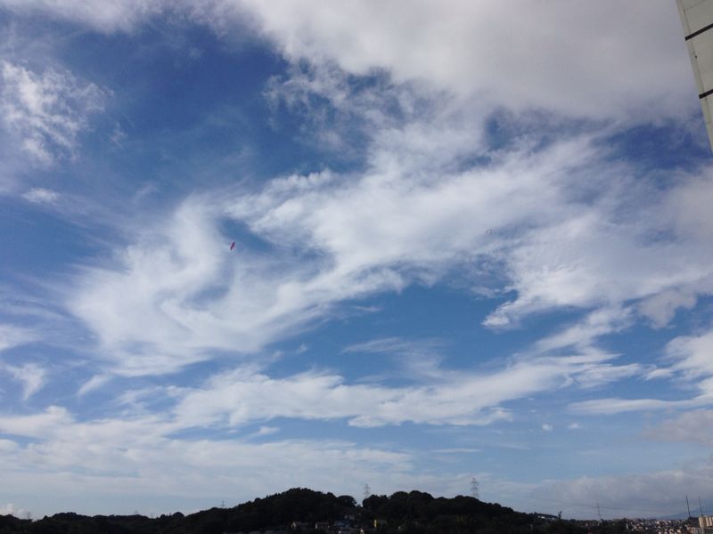 d0135694_8575062.jpg