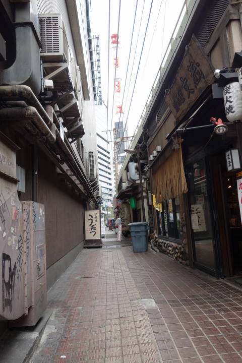 d0069495_15452999.jpg
