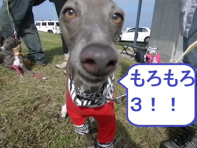 a0284997_13304610.jpg