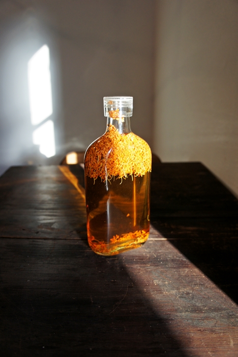 金木犀のリキュールを作る Passage