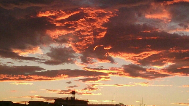 c0092803_16153339.jpg