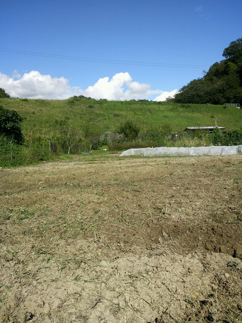 c0280206_764023.jpg