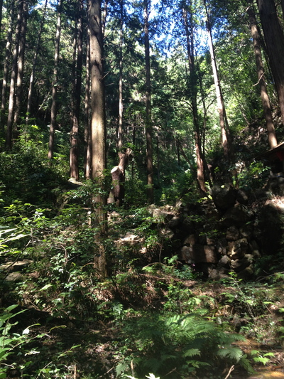 キンチャクダ_e0239908_2093637.jpg