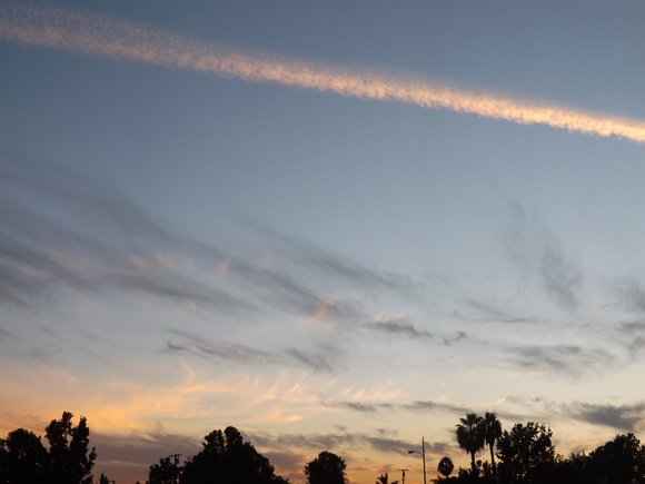 a0144811_7492320.jpg