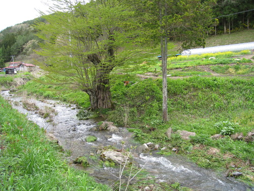 c0279611_21364637.jpg