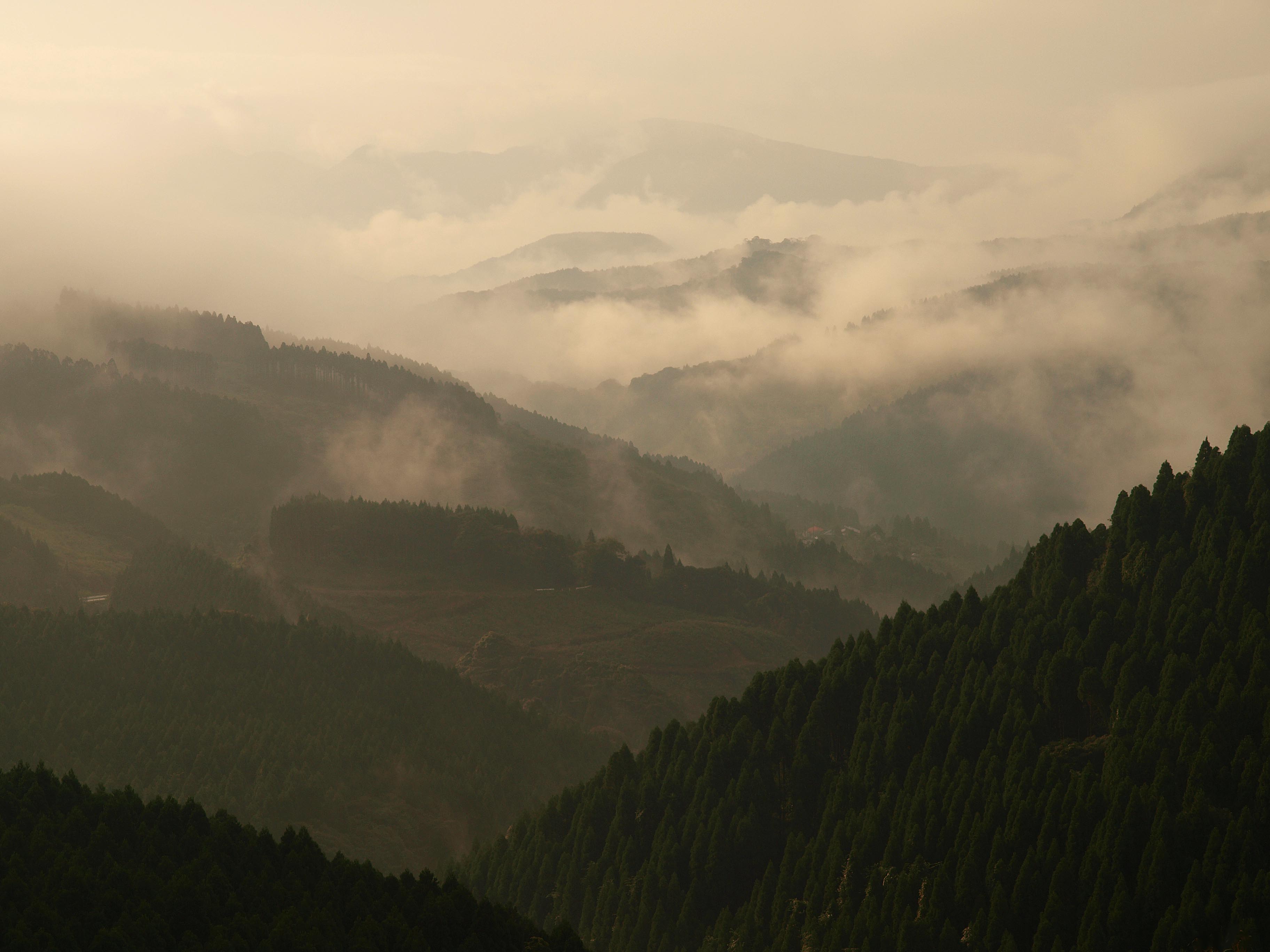 c0235114_20475911.jpg