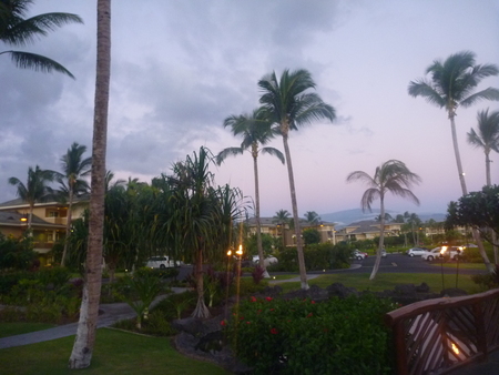 e0256814_1427572.jpg
