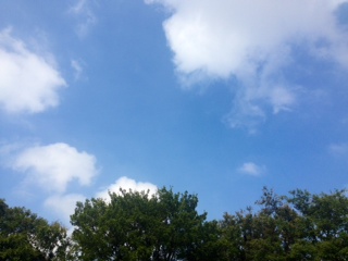 f0231314_15202316.jpg