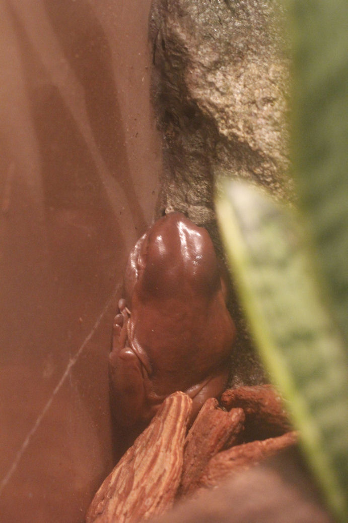 d0248715_0145291.jpg