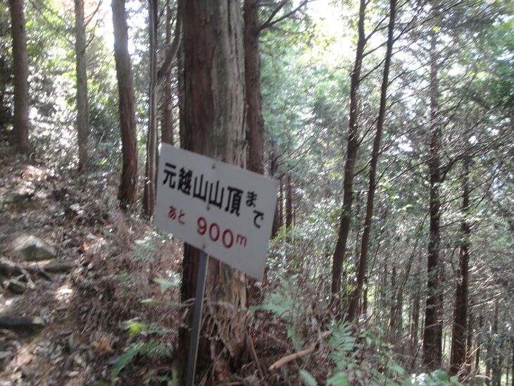 b0291016_19494730.jpg