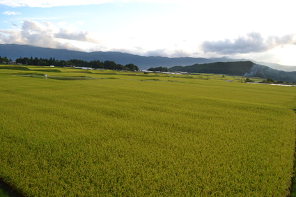 八ヶ岳原村の空　2013_d0264817_16321052.jpg