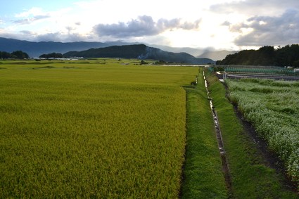 八ヶ岳原村の空　2013_d0264817_16323439.jpg