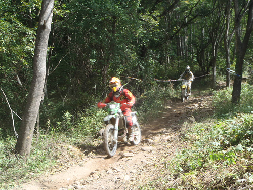 c0223419_1755880.jpg