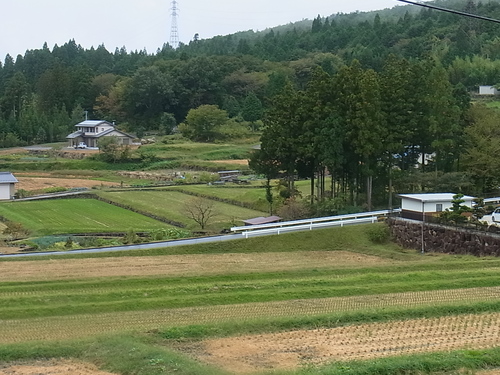 田園風景に魅せられて_e0059726_0121488.jpg