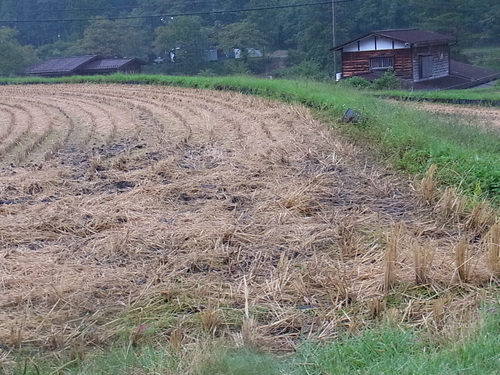 田園風景に魅せられて_e0059726_04565.jpg