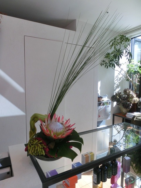 noLita オ-プン_c0102228_2051694.jpg