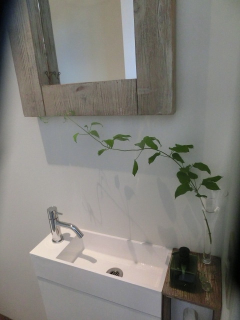noLita オ-プン_c0102228_2110958.jpg