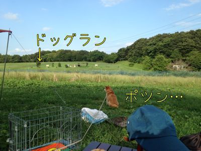 千葉キャンプ続き…_c0298732_106641.jpg