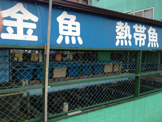 e0145833_2365190.jpg