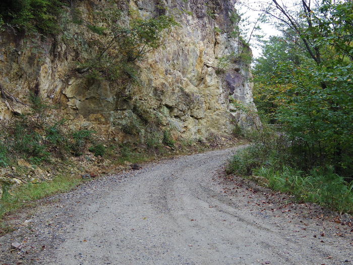 f0300637_21165.jpg