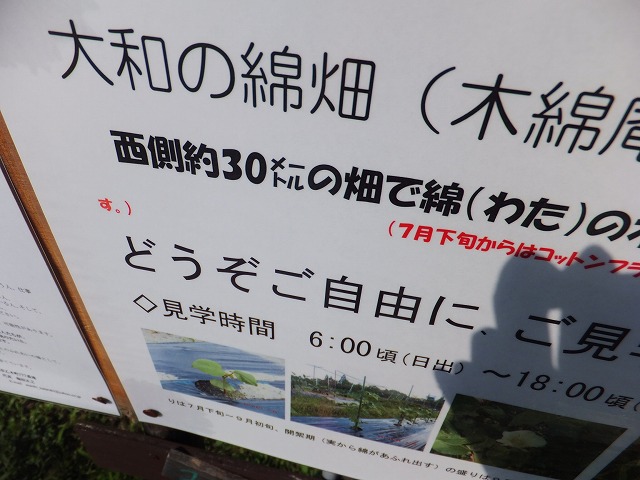 d0048350_20442749.jpg