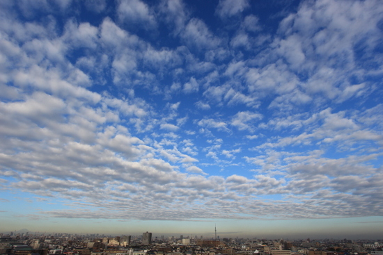 e0028650_23211529.jpg