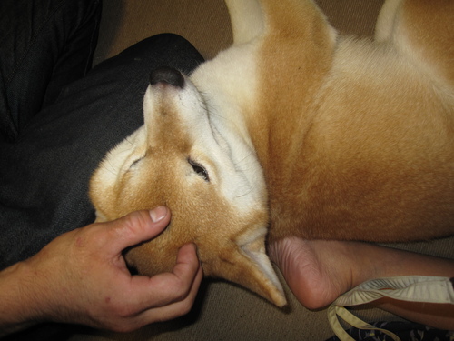 f0245650_853120.jpg