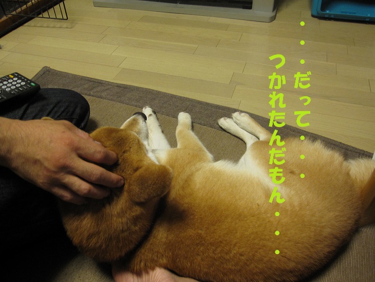 f0245650_8572638.jpg