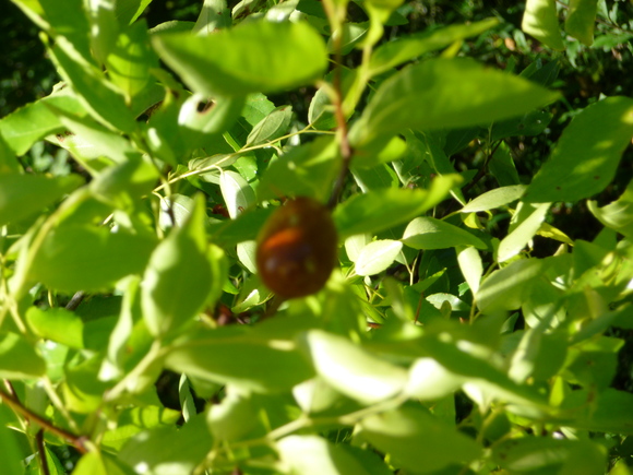 c0202453_83571.jpg