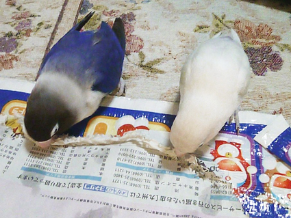 祈り_e0147757_038337.jpg