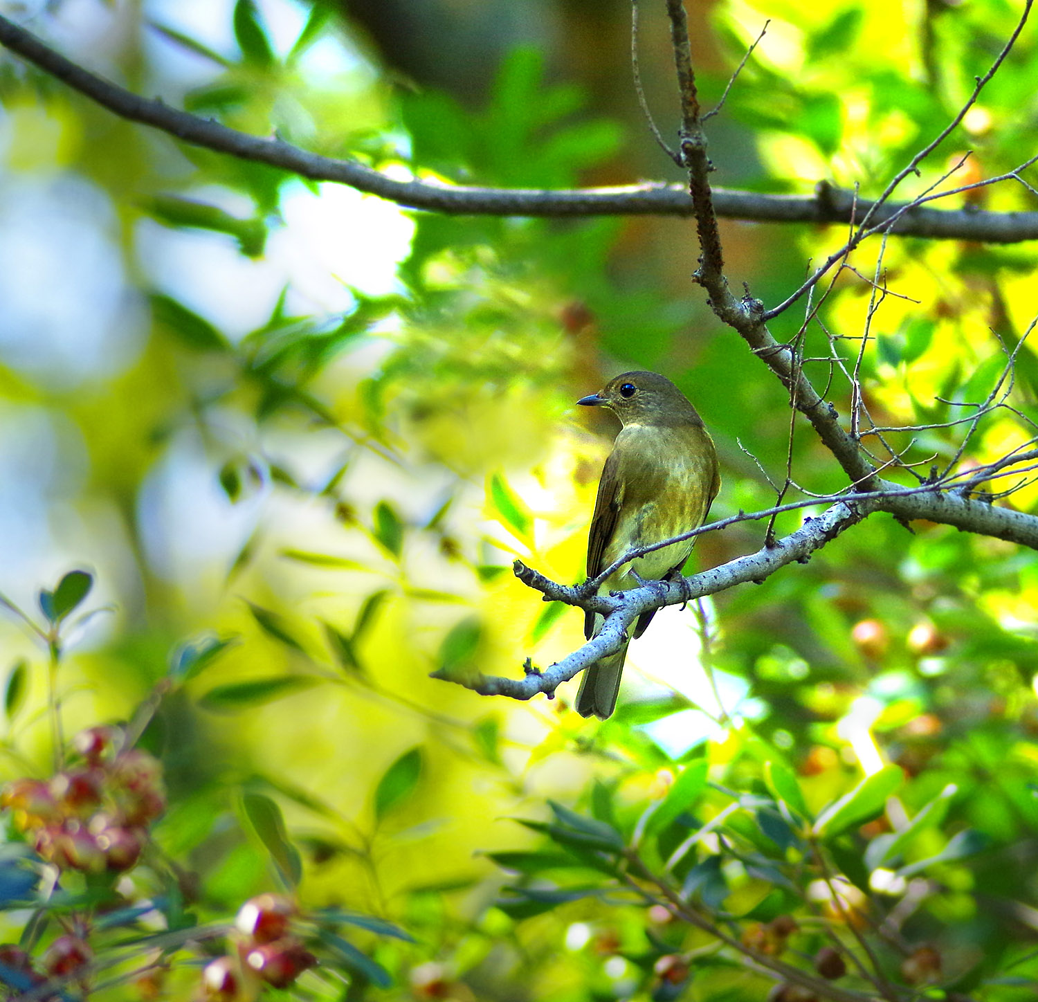 都市公園でぶらり_f0215767_1715716.jpg