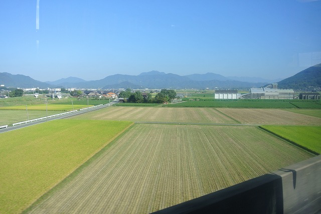 素敵な週末、連休になりますように _d0240469_22461083.jpg