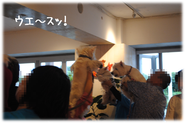 b0242873_123572.png