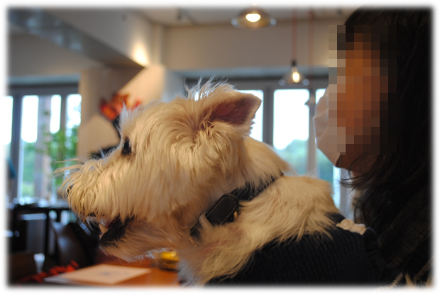 b0242873_13034.png