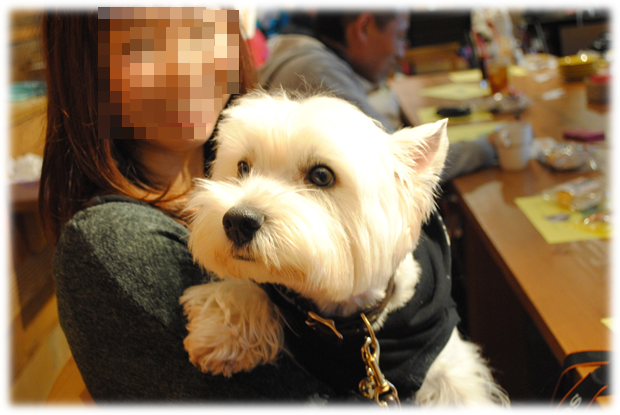 b0242873_131188.png