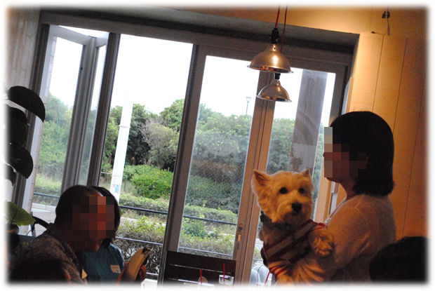 b0242873_145082.png