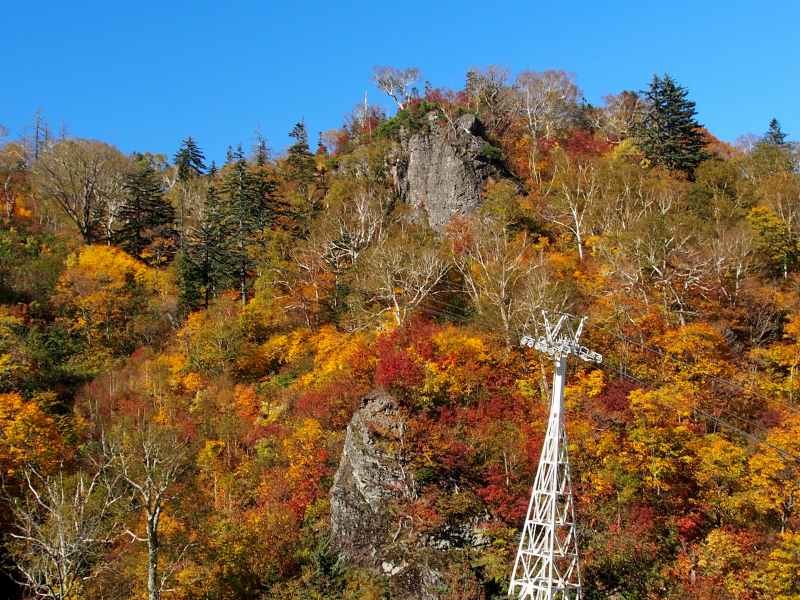 紅葉を求めて札幌国際スキー場へ　10月10日_c0183777_20382149.jpg