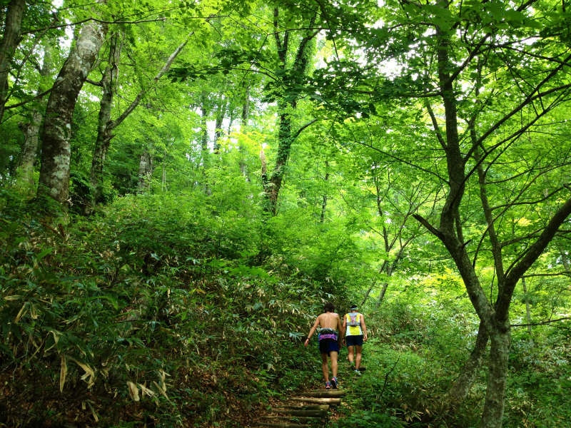 2013/06/18-19 青葉山ー百里ヶ岳ー三十三間山トレイルランニング_b0220886_17462081.jpg