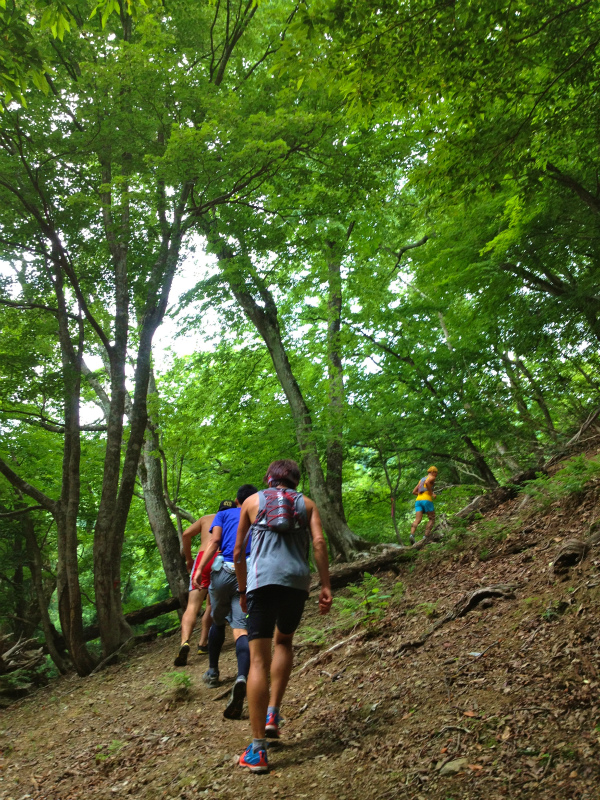 2013/06/18-19 青葉山ー百里ヶ岳ー三十三間山トレイルランニング_b0220886_17561729.jpg